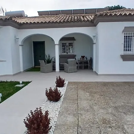 Uva Palomino De La Barrosa